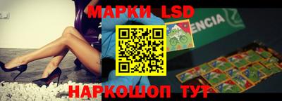 спайс Берёзовский