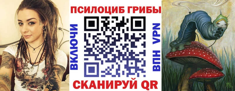 купить  цена  Лабинск  Псилоцибиновые грибы мицелий 